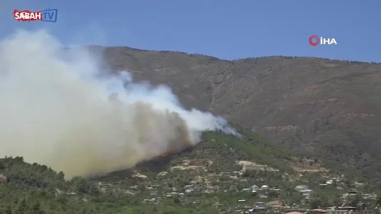 Hatay’da orman yangını | Video