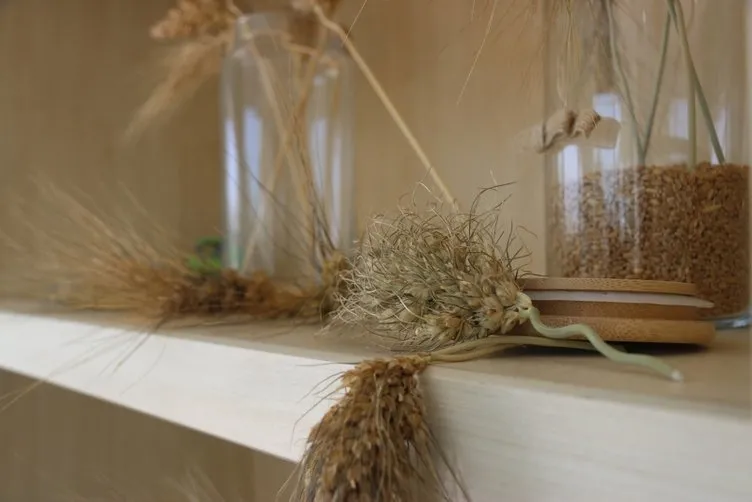 Türkiye’nin her yerinden sipariş yağıyor! Bahçesine ekti tam 7 bin yıllık!