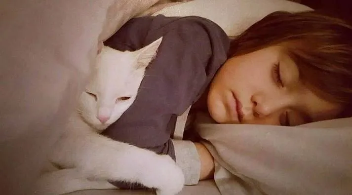 Bombalar altında ekmek dağıtıyor! Gamze Özçelik'in gözyaşlarına boğan Gazze mücadelesi gündem oldu...
