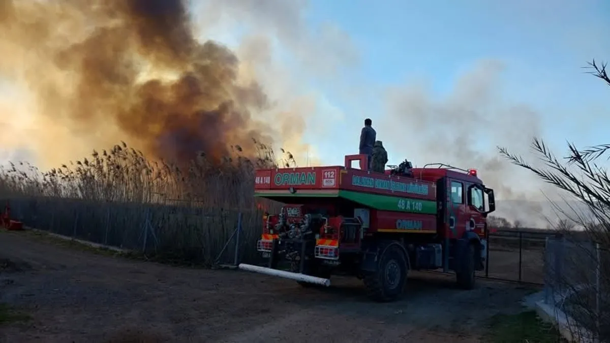 Muğla’da sazlık yangını