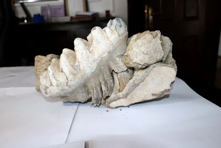 Yozgat’ta 8 milyon yıllık fosil bulundu