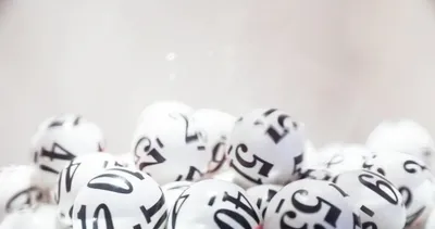 On Numara sonuçları TIKLA-SORGULA! Milli Piyango ile 12 Haziran 2023 On Numara çekiliş sonuçları bilet sorgulama ekranı