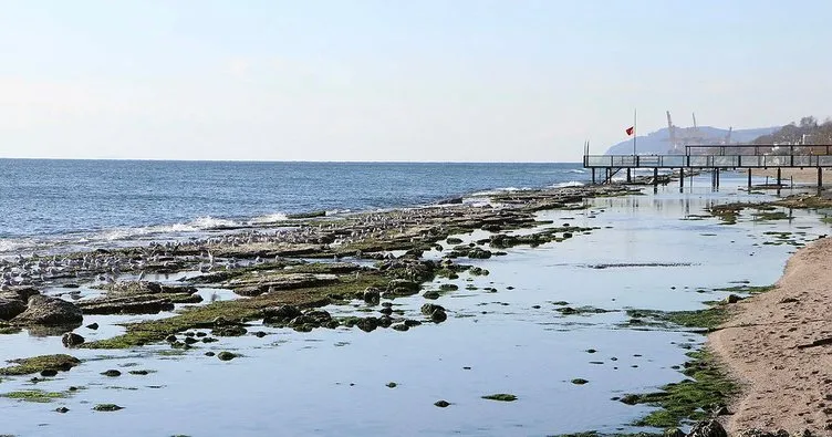Tekirdağ’da kıyılarda deniz suyu çekilmişti: Uzman isim sebebini açıkladı