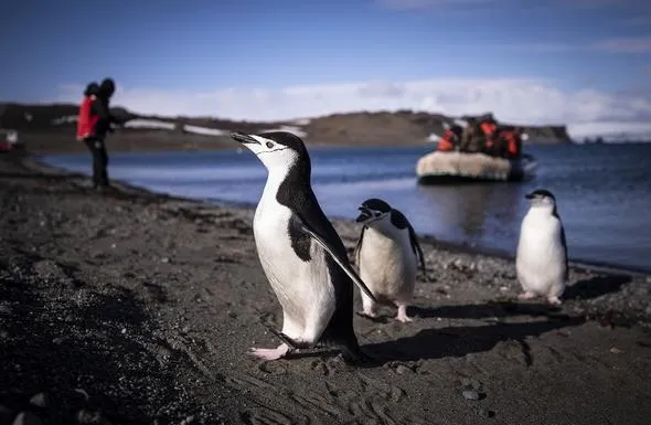 Türk ekibinin Antarktika'ya ayak bastığı sırada NASA'nın ilginç bir çalışması ortaya çıktı.