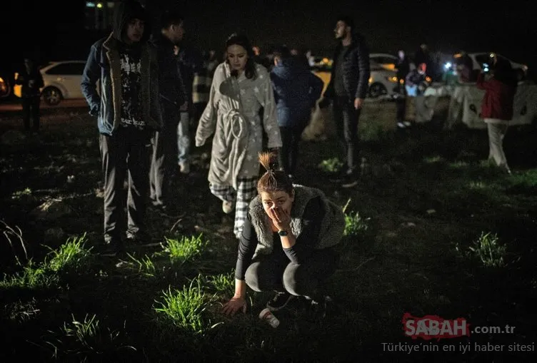Korkunç görüntüler... Ankara’da 13 köpek zehirlenerek öldürüldü