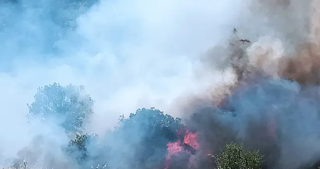 Malatya’da çıkan yangın kontrol altında!