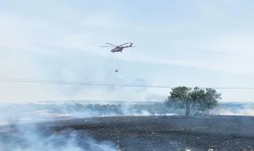 Çanakkale yangınında zeytinlikler tehlikede #canakkale