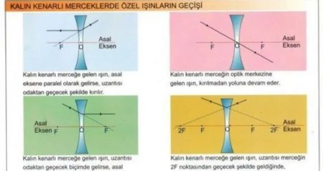 Merceklerde görüntü oluşumu nedir?