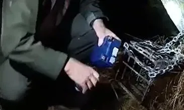 Bursa'da yaban hayvanlarını avlamak için kurulan düzenekler ele geçirildi! 'Doğaya karşı suça geçit yok' #bursa