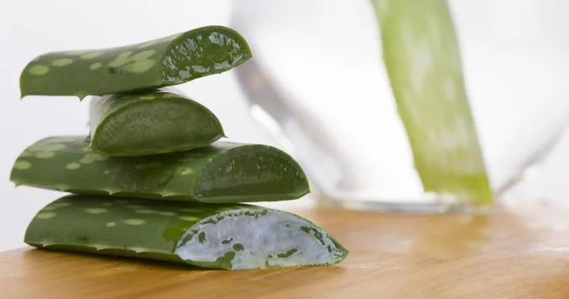 Aloe Vera Ile Sac Bakimi Aloe Vera Sac Maskesi Nasil Yapilir Iste Tarifi Saglik Haberleri