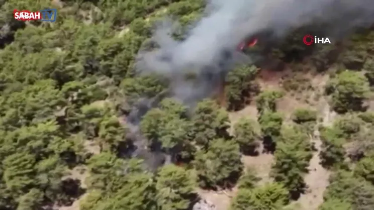 Antalya'da orman yangını | Video
