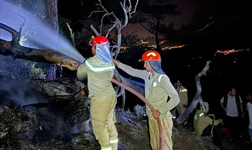 Muğla Köyceğiz’deki yangın söndürüldü