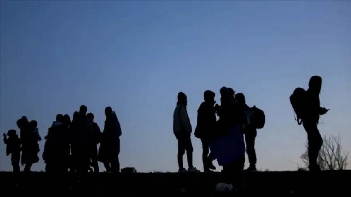 Edirne ve Kırklareli'nde 10 düzensiz göçmen yakalandı