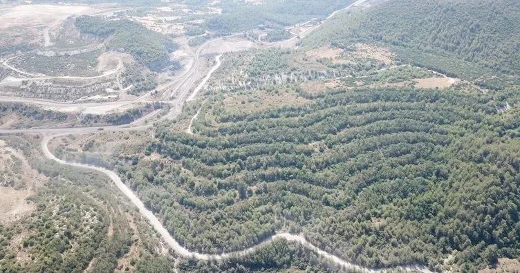 Akbelen provokatörlerine soğuk duş! BM raporu Türkiye’nin orman gerçeğini ortaya çıkardı!