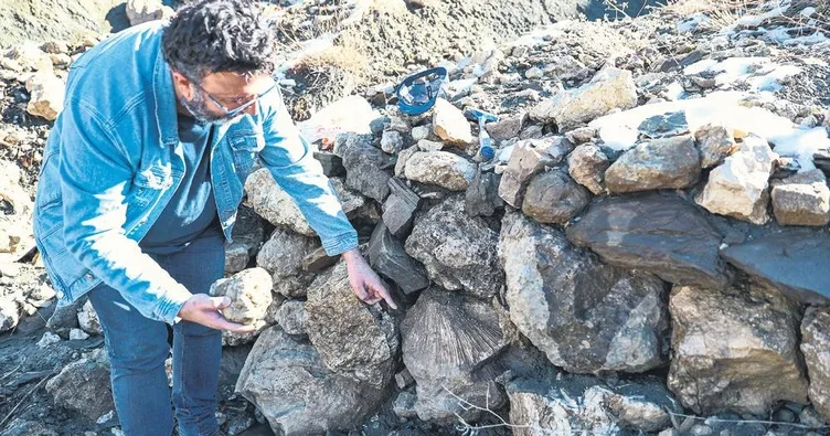 ‘Bingöl’de deniz mi vardı?’ dedirten bulgu