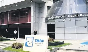 TMSF üç şirketi satışa çıkardı