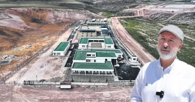 Sokak hayvanlarına 5 yıldızlı yuva