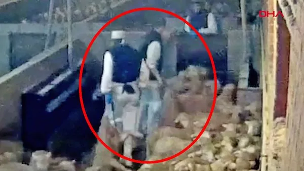 Avrupa'nın orta yerinde kuzulara uygulanan sapık işkencelerin skandal görüntüleri şoke etti | Video
