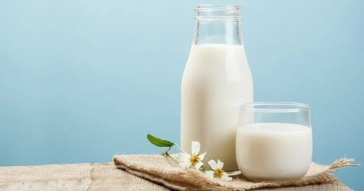 Sütün faydaları nelerdir? Süt nelere iyi gelir?
