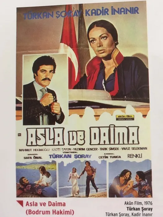 Türk sinemasında kaç film çekildi?