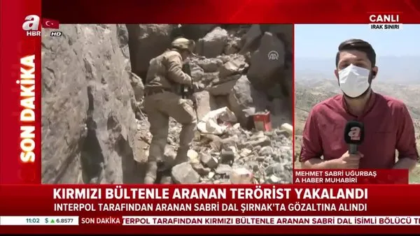 Son dakika: Interpol tarafından kırmızı bültenle aranan Sabri Dal isimli terörist Şırnak'ta yakalandı | Video