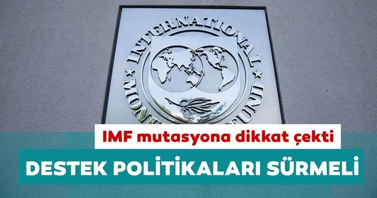 IMF: Güçlü mali ve parasal destekler sürmeli
