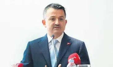 81 ile düve desteği müjdesi