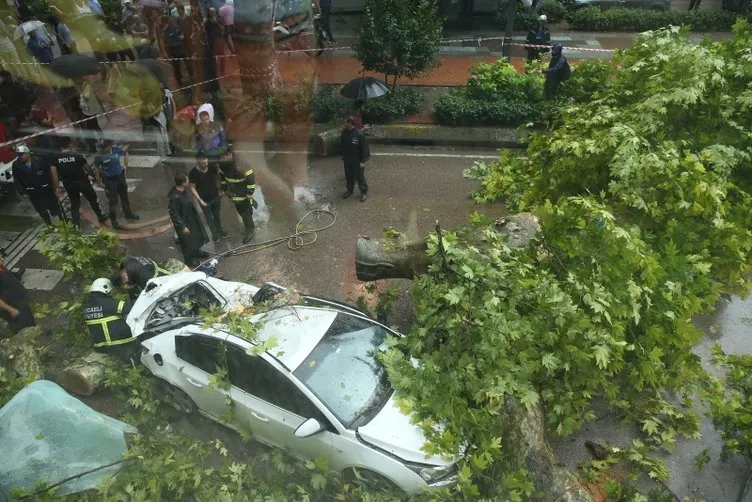 Çınar ağacı otomobilin üzerine devrildi: 1 yaralı