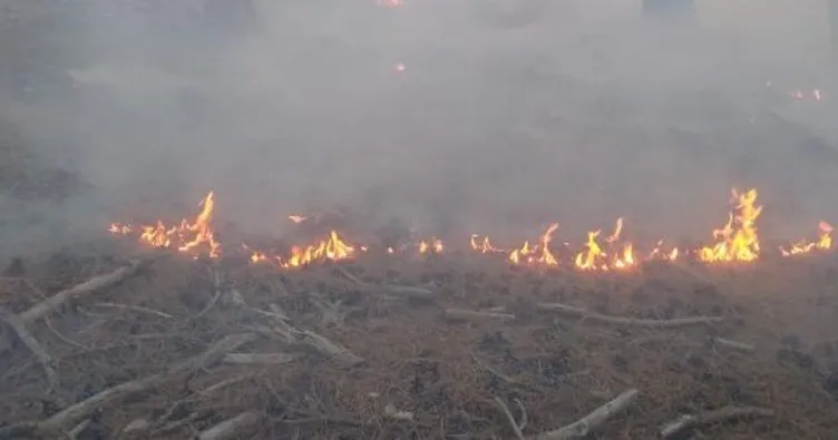 Adana’da orman yangını! Havadan ve karadan müdahale devam ediyor