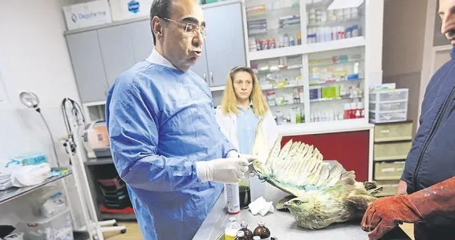 Buyuksehir Hayvan Hastanesi Kurdu Guney Haberleri