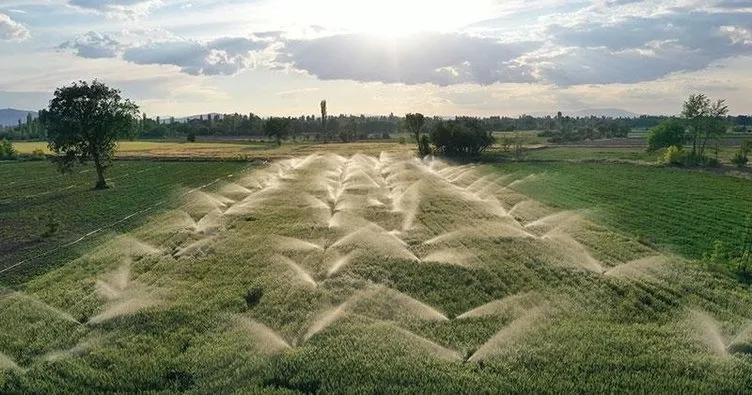 Bitkisel üretimde artış öngörüsü