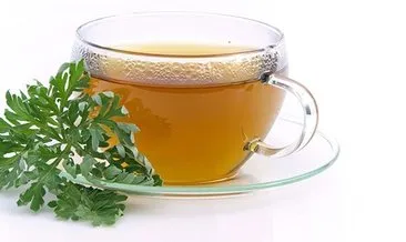 Form çayı faydaları nelerdir? Form bitki çayı zayıflatır mı, nelere iyi gelir?