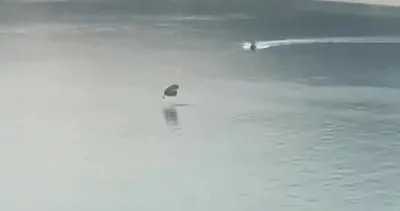 Fethiye’de yamaç paraşütü denize indi | Video