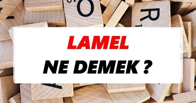 Lamel Ne Demek? TDK’ya Göre Lamel Sözlük Anlamı Nedir?