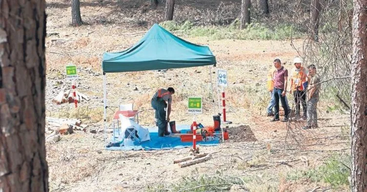 Köylüye ağaç kesme sınavı