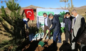 Tunceli Valisi, Cemevi’ne ağaç dikti