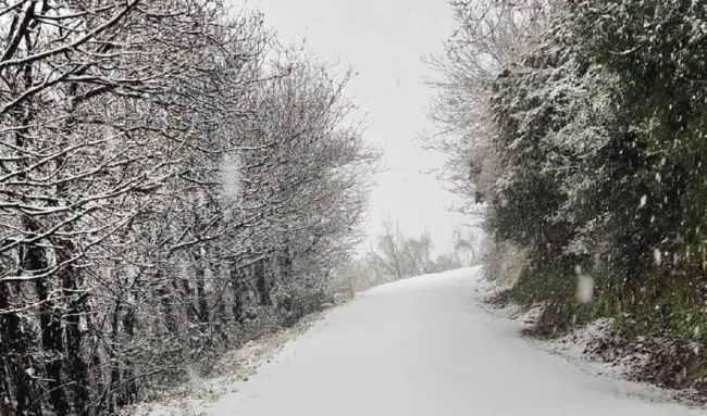 son-dakika-hava-durumu-uyarisi-meteorolojiden-15-il-icin-sari-kodlu-alarm-cok-kuvvetli-saganak-kapida-1776925066430.png (1063×626)