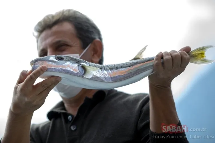 Tatilcilerin ve balıkçıların korkulu rüyası! Balon balığı avlayana ödül...