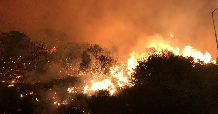 Antalya'nın Kaş ilçesinde orman yangını - En Son Haber