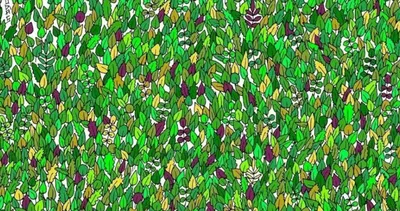 Resimdeki kurbağayı 20 saniyede bulursan bir dâhisin! Akıl sınırlarını zorlayan optik illüzyon testi…