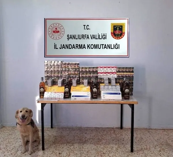 sanliurfada-binlerce-kacak-sigara-ele-gecirildi-1762358088547.jpg