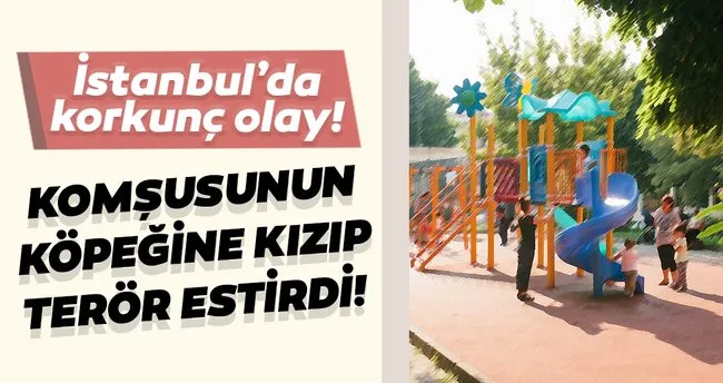 Komsusunun Kopegine Kizip Teror Estirdi Parkta Oynayan Cocuklarin Uzerine 10 El Ates Etti Son Dakika Haberler