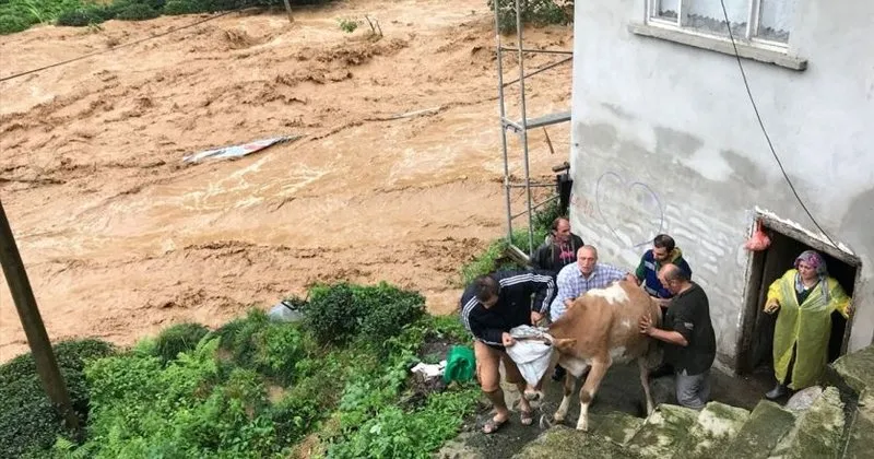 Rize Deki Siddetli Yagis Sayfa 6 En Son Haber