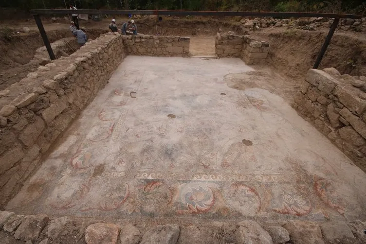 Yonca tarlasında bin 400 yıllık mozaik