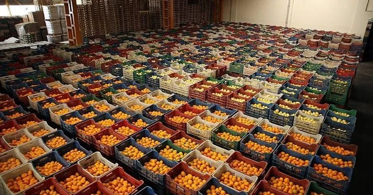 Türkiye’nin yaş meyve sebze ihracatı 3 milyar dolara yaklaştı