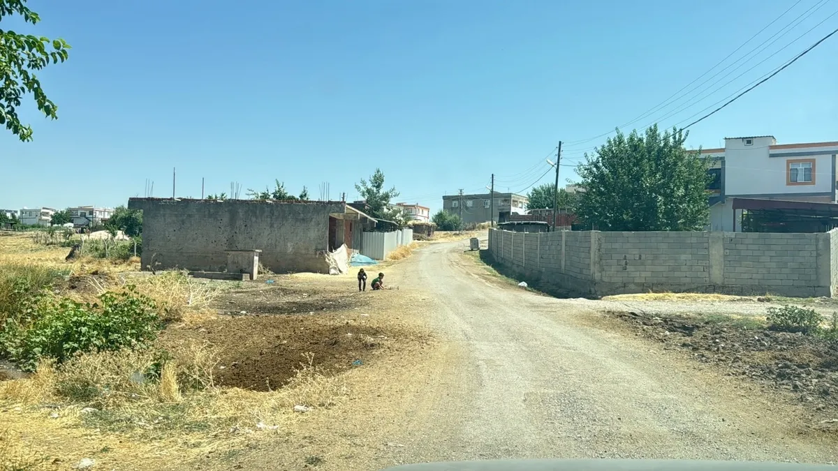 SON DAKİKA... Diyarbakır'da kuduz alarmı! Tüm mahalle karantinaya alındı: 4 ay önce kedi ısırmış! haber görseli