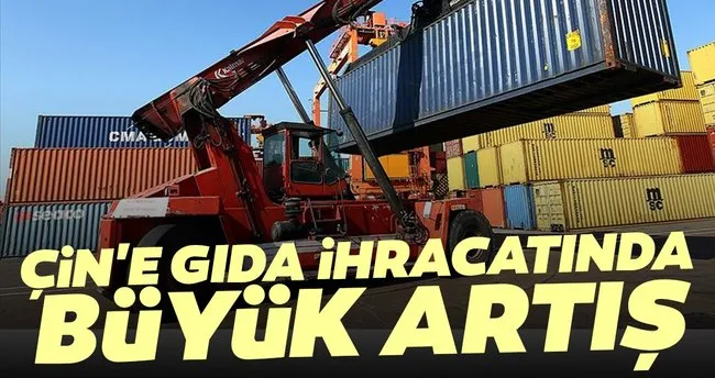 Cin E Gida Ihracati Yuzde 86 Artti Haberler Haberleri