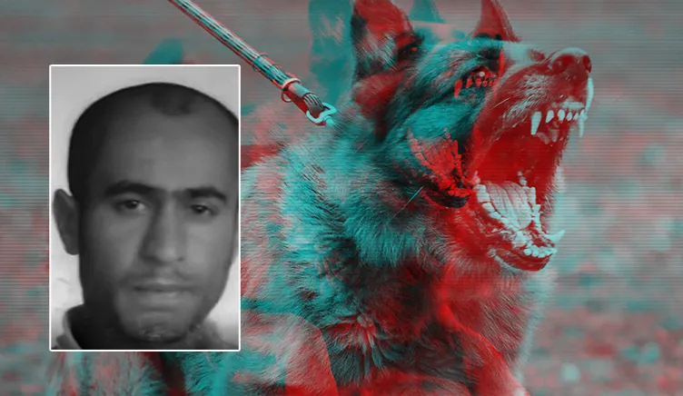 İstanbul Fatih’te başıboş köpekler tarafından öldürülen Ayhan Özçelik’in raporu ortaya çıktı! Vahşette kan donduran detaylar...