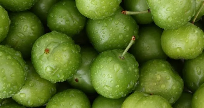 yesil erigin faydalari nelerdir iste yesil erigin faydalari saglik haberleri