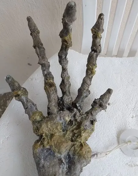 Korkunç elin gizemi! Görüntüler sosyal medyada infial yarattı